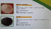 越南雙殼黑芝麻 越南雙殼黑芝麻價格 報價 越南雙殼黑芝麻品牌廠家