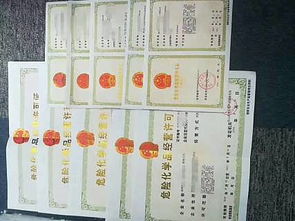 浙江,舟山自由貿(mào)易區(qū),在舟山注冊公司,政府政策,稅收優(yōu)惠,政府補(bǔ)貼